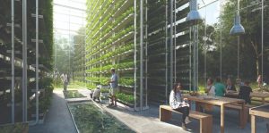 Vertikalne farme: Održivi odgovor na izazove urbanizacije i klimatskih promjena