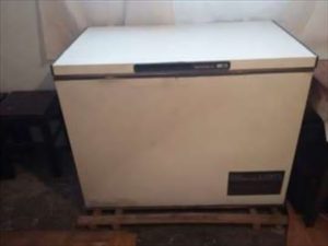 Majka uhapšena zbog sumnje u ubistvo novorođenčeta, tijelo pronađeno u zamrzivaču