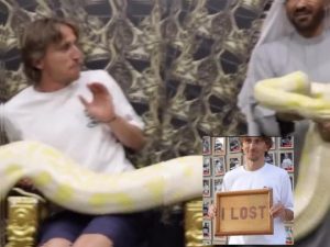 Luka Modrić u neobičnom izazovu: Od pitona do tigra u privatnom zoološkom vrtu