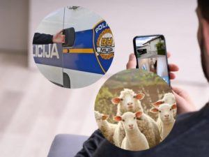 Stravično otkriće u Slavonskom Brodu: Trojica muškaraca optužena za silovanje i zlostavljanje životinja