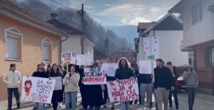 Sve veća podrška studentskim protestima u Srbiji