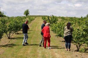 Uspješna priča Ene Zolić Uzejnović – Plantaža lješnjaka kod Bihaća