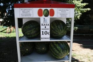 U Hrvatskoj nastao skandal zbog postavljenih lubenicomata: Preko noći se mijenjala cijena, upitno i porijeklo