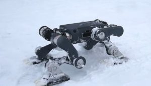 Četveronožni robotski pas hodao po arktičkim ledenim pločama